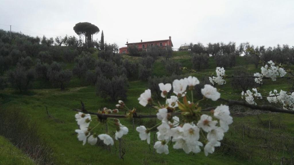 Olivia B&B And Apartment Cantagrillo Εξωτερικό φωτογραφία