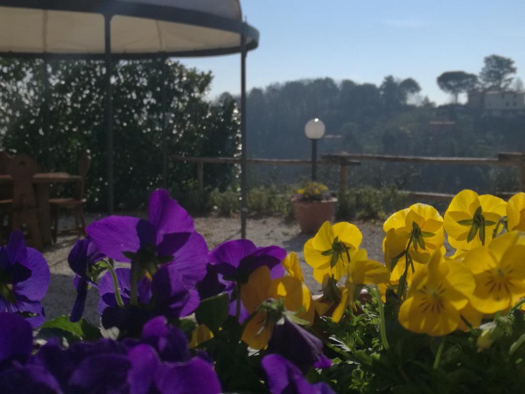 Olivia B&B And Apartment Cantagrillo Εξωτερικό φωτογραφία