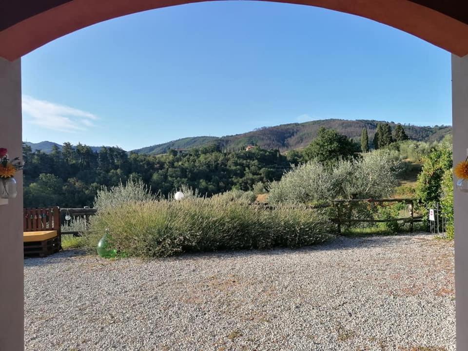 Olivia B&B And Apartment Cantagrillo Εξωτερικό φωτογραφία